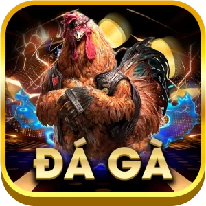 đá gà